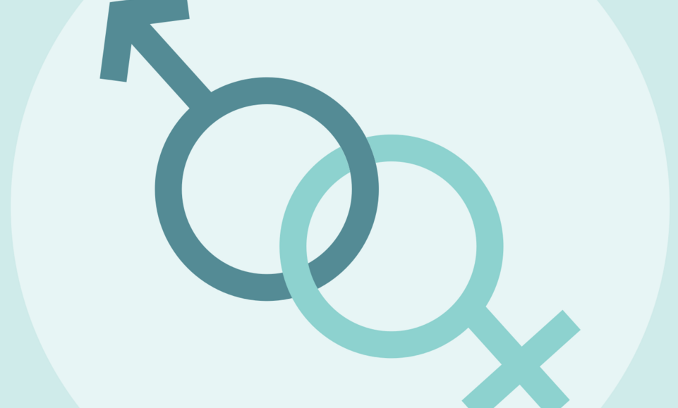 60d9ca1282bf304cca8b5a2a Zeleni Equality Web